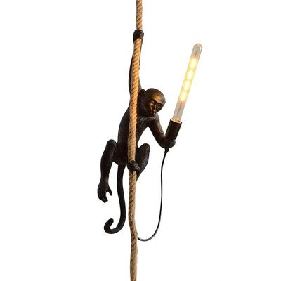 چراغ آویز رزین میمونی صرفه جویی در انرژی برای فروشگاه لباس